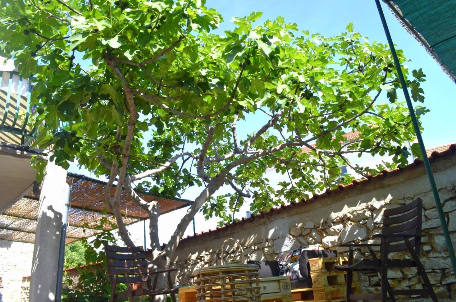 Apartmani Spanja Vodice Exterior foto
